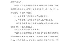 爱游戏APP下载:中乙球队试图向裁判送礼被处罚